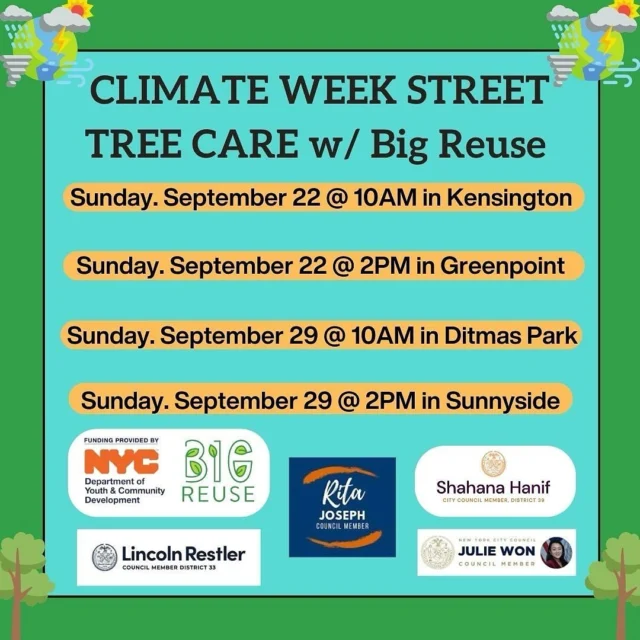 Repost from @bigreuse
•
Next week is Climate Week! We are so excited to be hosting 4 events for it — 2 on the 22nd thanks to @cmshahanahanif and @lincolnforcouncil, and 2 on the 29th thanks to @ritajosephnyc and @juliej_won 💚🤎! Want to join in on the action? Sign up with the link in our bio! Can’t wait to steward our communities with you! 🌳

#climateweek #climateweeknyc #trees #streettrees #nyc #stewardship #pollinators