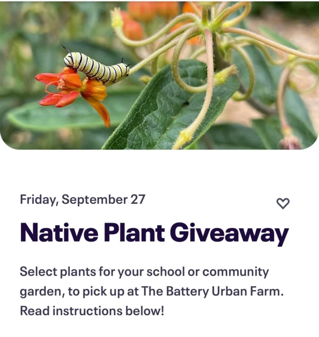 Full details on Eventbrite page including list of native pollinator plants available 

Register at https://tinyurl.com/46k8jr9w

@thebatterynyc